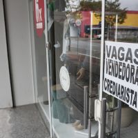 miniatura galeria