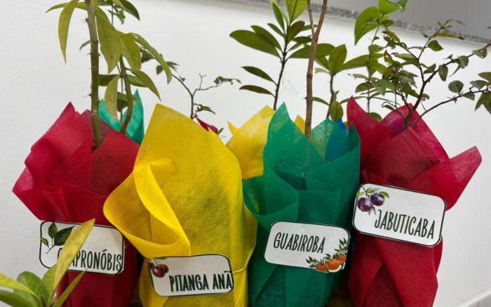 Desde julho, mais de 90 mudas já foram doadas e plantadas na cidade (Foto: Divulgação/PMI)