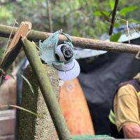 Operação desmonta barraco em área de invasão