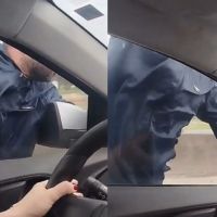 Homem se pendura em carro para tentar assaltar família na BR 101
