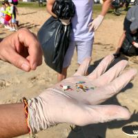 Itapema reúne voluntários e faz mutirão de limpeza na praia