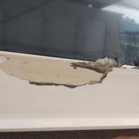 Cliente acusa marina de danificar lancha milionária