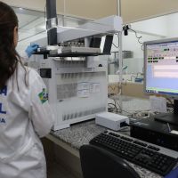 Novas drogas l simulam efeitos da ayahuasca e cogumelos