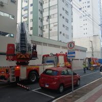 miniatura galeria