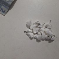 Menor é flagrado com mais de 15 porções de cocaína