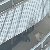miniatura galeria