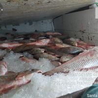 Operação apreende 60 toneladas de pescados e 14 embarcações com redes ilegais