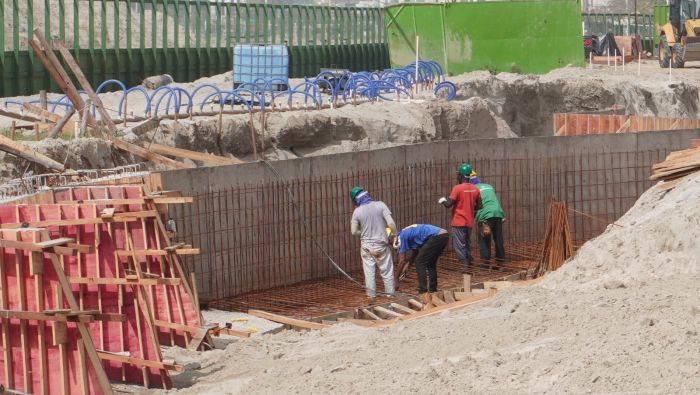 Só no trecho atualmente em obras serão mais de 500 árvores (Foto: João Batista)