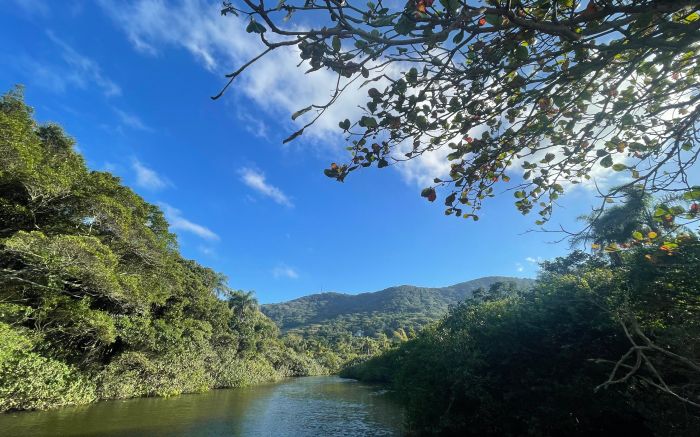 TJSC considerou que Código Ambiental invadiu competência da União (Foto: João Batista)