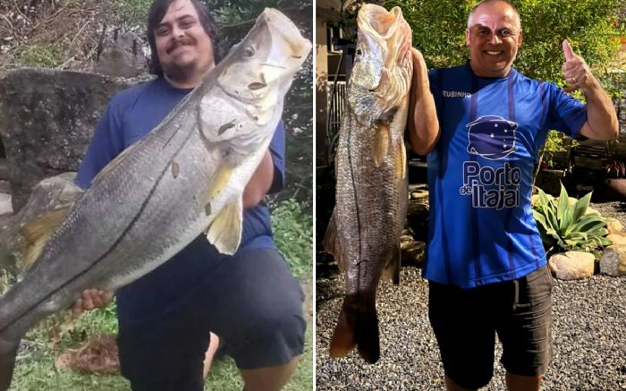 Peixe vem para o estuário, como o Saco da Fazenda, para se alimentar e reproduzir (Foto: Arquivo)