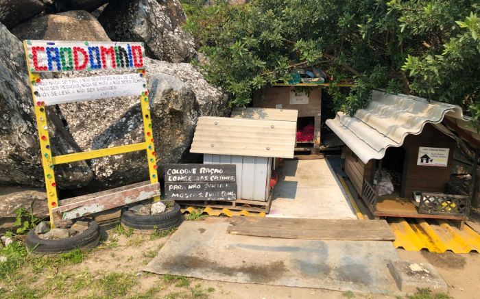 Últimos “moradores” ficaram sob cuidados de protetores de animais (Foto: João Batista)