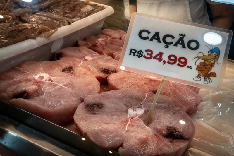 Acordo garantia liberação de pesca de 3481 toneladas ao ano no Brasil (Foto: Arquivo/DIARINHO)