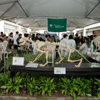miniatura galeria