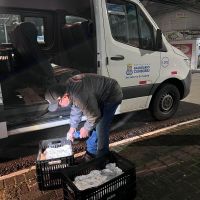 Itajaí quer parceria com Fiocruz pra tocar método inovador contra a dengue