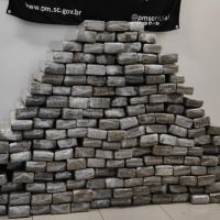 Diretora do Daba é flagrada com 135 quilos de maconha