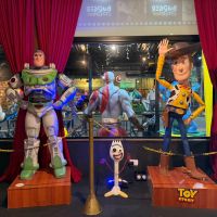 miniatura galeria