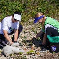 Mutirão da Nauterra transforma a praia do Molhe com limpeza e plantio de mudas nativas