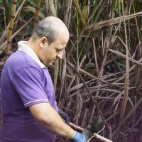 miniatura galeria