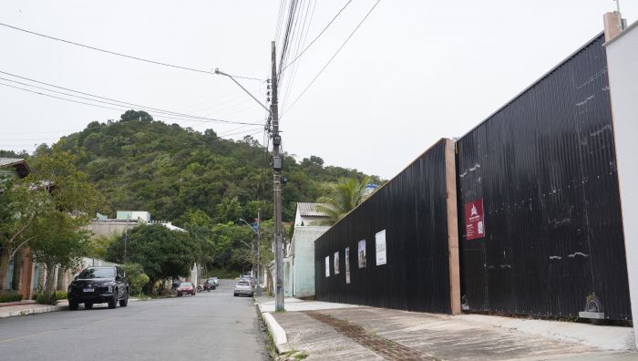 Terreno de morador tem servido de refúgio para alguns animais que também precisam escapar de gatos e cachorros (Foto: João Batista)