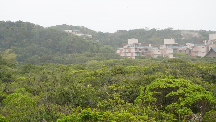 Área ganhou 409 hectares e soma agora 781 hectares (Foto: João Batista)