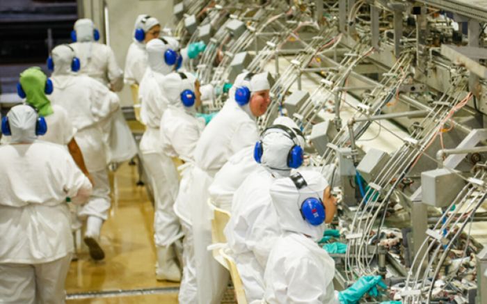 Feirões de emprego da Nauterra acontecerão às segundas e quartas-feiras (Foto: Divulgação)