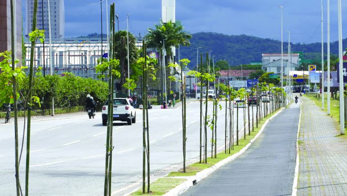 Iniciativa faz parte do plano BC +Arborizada (Foto: João Batista)