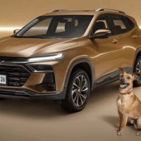 Tracker Caramelo da Chevrolet arrecada R$ 250 mil para ajudar cães resgatados