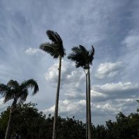 Queda de temperatura deve atingir a região