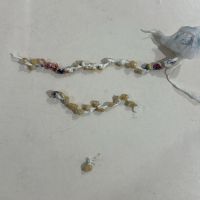 Traficante bate o carro cheio de drogas na BR 101