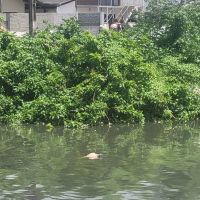 Corpo é encontrado boiando no rio Itajaí-mirim