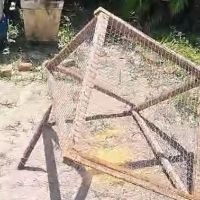 Moradora denuncia arapuca para pombos em terreno de igreja