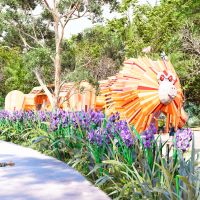 Vivapark Porto Belo inaugura playgrounds exclusivos e inéditos no Brasil