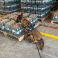 Carga de cocaína diluída em refrigerante é apreendida em Navegantes