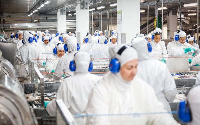 Empresa tem mais de 3200 colaboradores e é dona da marca Gomes da Costa (Divulgação/Nauterra)