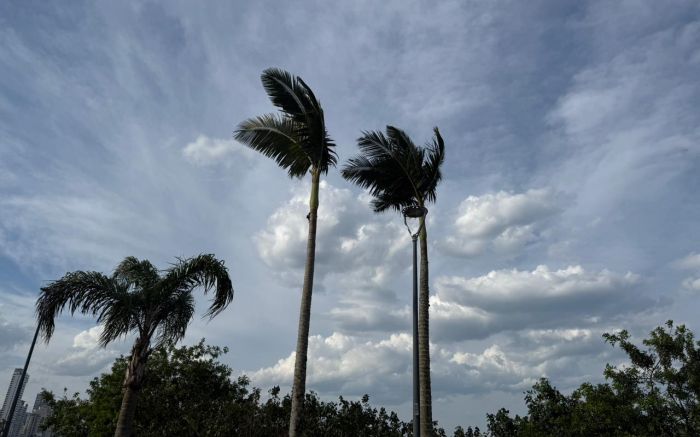 Defesa Civil de SC alerta para rajadas de vento de até 100 km/h no litoral (Foto: Amanda Moser)
