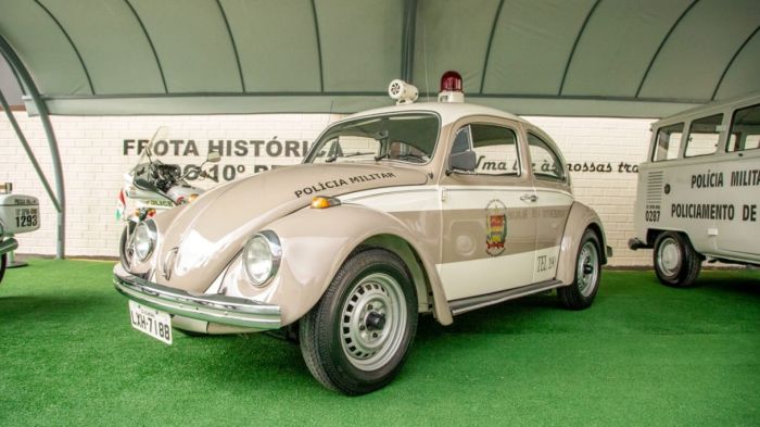 Programação será das 9h às 17h com entrada gratuita mediante doação de 1 kg de alimento (Foto: Divulgação)