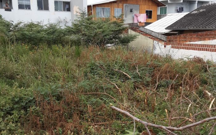 A moradora teme que o abandono, água parada e matagal possam levar a problemas na rua (Foto: Leitora)