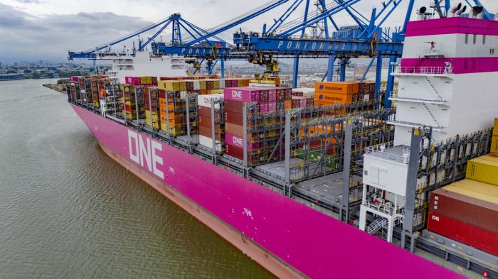 Navio fez primeira passagem em Navegantes em linha para a Ásia (Foto: Divulgação/Portonave)