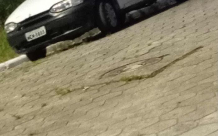 Os ladrões roubaram o carro por volta das 2h da manhã (Foto: Leitora)