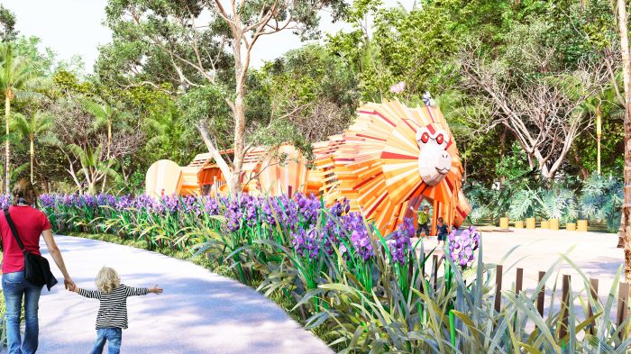 Mico Leão Dourado e Play Acqua são inspiradas na fauna e nos ciclos naturais (Foto: Divulgação)