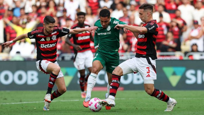 Finalistas vivem momentos diferentes após Fla encaminhar título brasileiro (Foto: Divulgação/Palmeiras)