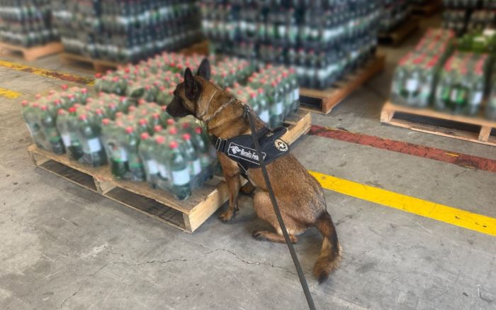 Droga tinha como destino a Eslovênia (Foto: Divulgação/PF)