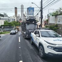 Multada cegonheira que detonou fios e passou a noite em local proibido