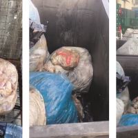 Mercado joga carne podre a céu aberto