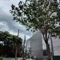 Mais de 15 mil imóveis ficam sem luz em Itajaí e Balneário Camboriú