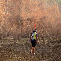 Novo licenciamento ambiental é desregulação e pode chegar ao STF, diz presidente do Ibama