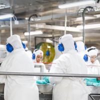 Nauterra se destaca com mais de 25 benefícios para contratação e retenção de funcionários