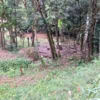 Pai é morto a golpes de facão na frente dos filhos em cachoeira do Brilhante