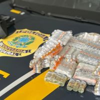 Remédios para emagrecimento e anabolizantes são apreendidos na BR 101