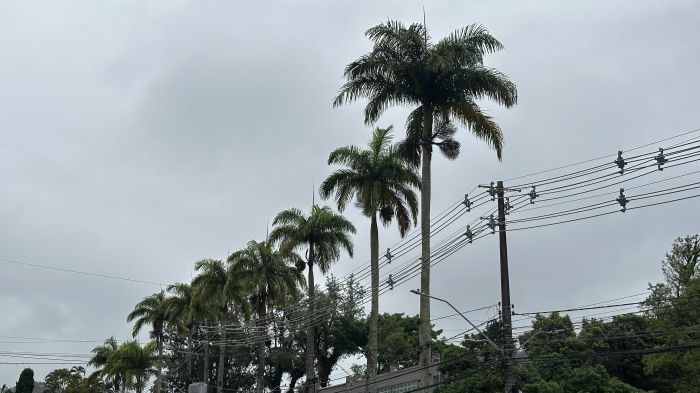 Chuva marca o início da semana